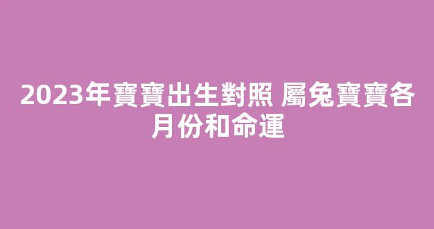 2023年寶寶出生對照 屬兔寶寶各月份和命運